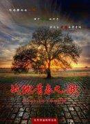 战地青春之歌分集剧情介绍(1-30集)