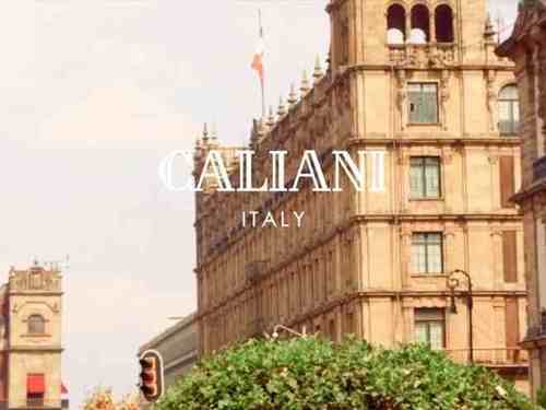 ��������CALIANI