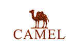 ����(CAMEL)