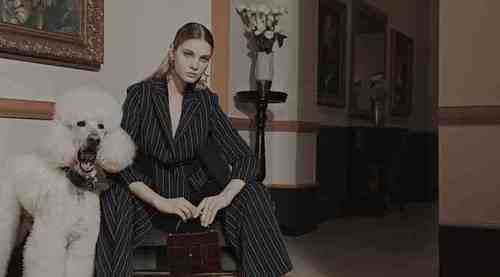 BESIONIA������